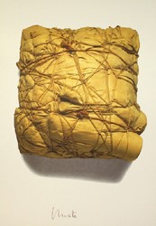 PACKAGE