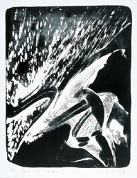 SPRENG I
1998
Lithografie
75 x 65 cm
Auflage: 40 num. /5 EA Exemplare
WVZ 161