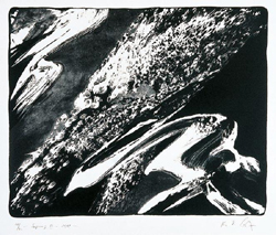 SPRENG IV
1998
Lithografie
75 x 65 cm
Auflage: 40 num. /5 EA Exemplare, hier 28/40
WVZ 164